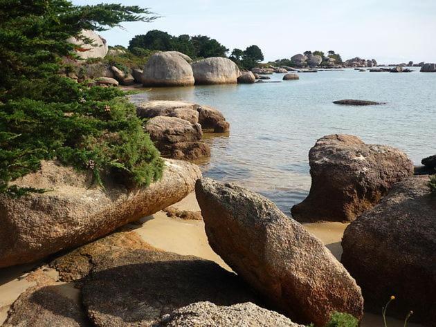 Appartement A Cote Du Port De Ploumanac'H Perros-Guirec Dış mekan fotoğraf